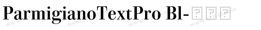 ParmigianoTextPro Bl字体转换